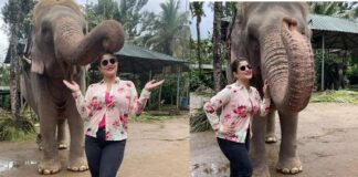 Srabanti Chatterjee posted a Picture with an Elephant