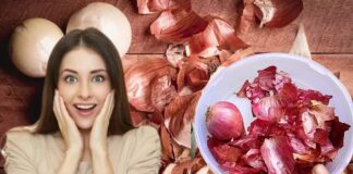 Uses Of Onion Peels In Hair Care Health Care and Plants Growth