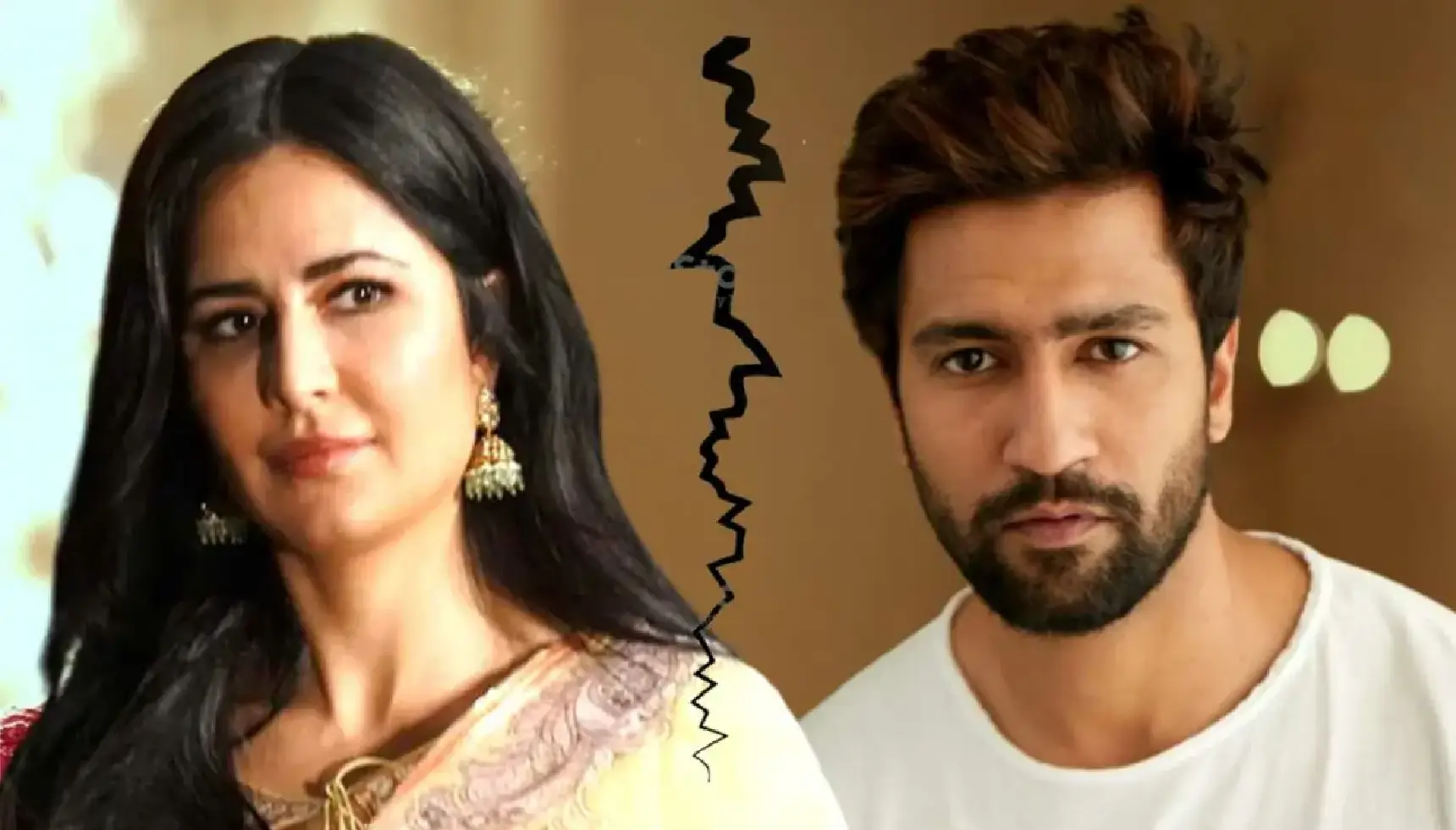 Is Viki Kaushal Wants To Get Divorced With Katrina Kaif